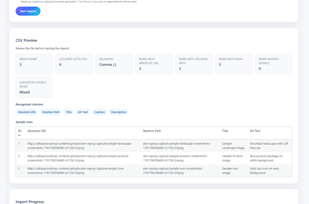 A software interface showing a CSV preview for a WordPress media import, displaying detected columns, data rows, and sample file paths.